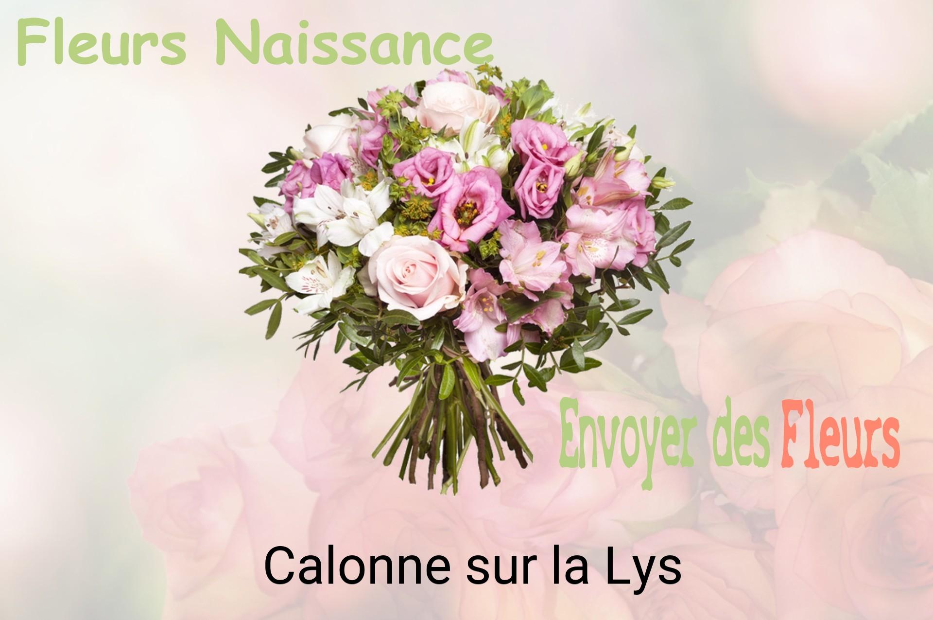 Bouquet de fleurs de naissance livré à Calonne-sur-la-Lys